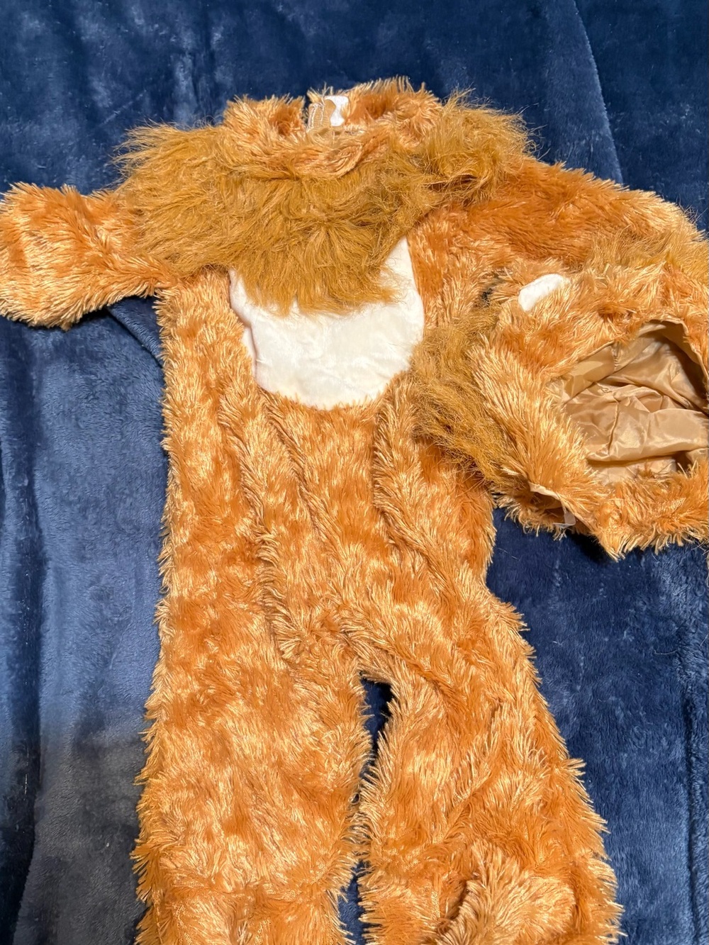 Noah's Ark Lion Cub Costume for Kids - Brown - Picture 4 of 5